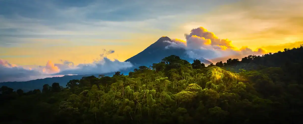 Vibrant green Irish woodlands with a volcanic mountain in the background during sunset, showcasing Ireland’s natural forestry and scenic landscapes.